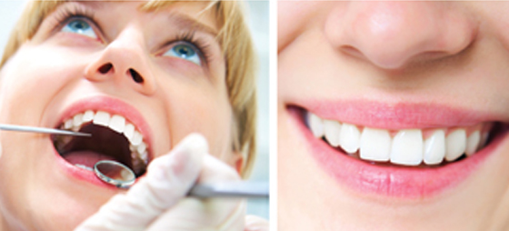 e773111ba0d353f4a64ab27136b2985a