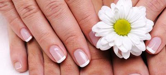 ea0e82d66404831d3daada0688709f59