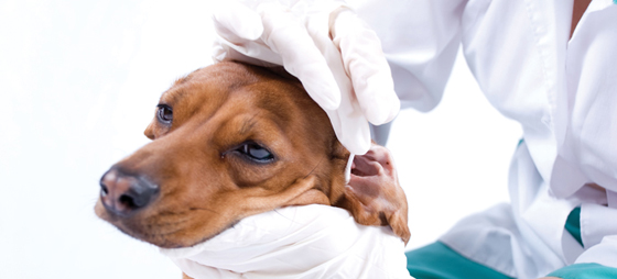 f35d4563e8df52b28d9407a708daf70d