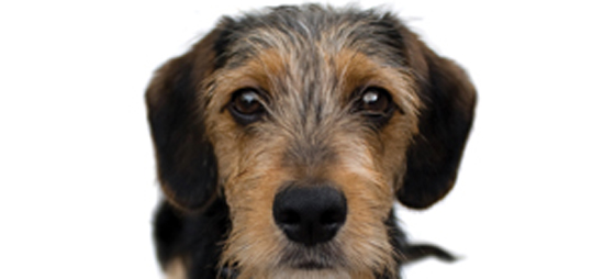 f95782fa22d739c691d5ff661b831b48