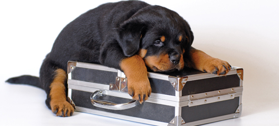 fe7a8ffab5fd5534e791d4b8e344218b