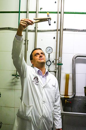 miel de cana frigiliana2