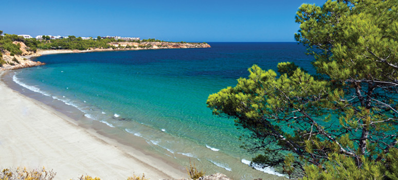 shutterstock 102219160