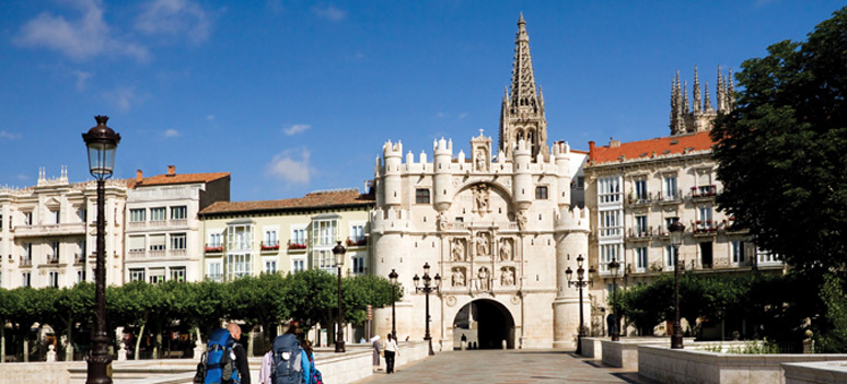 shutterstock 111133508