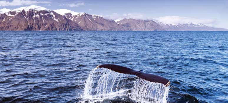 shutterstock 112756990