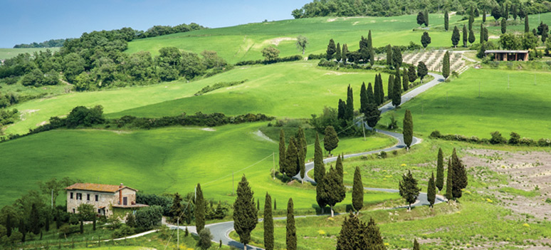 shutterstock 115484878