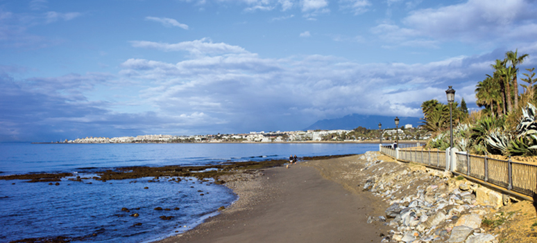 shutterstock 117597103