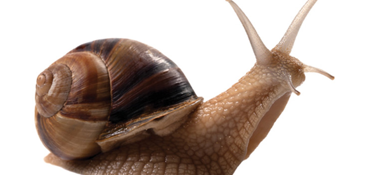 shutterstock 120222847