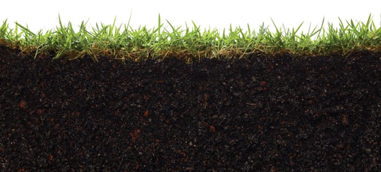 shutterstock 125344550