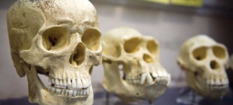 shutterstock 133811405