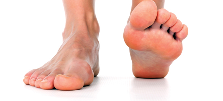 shutterstock 146107136