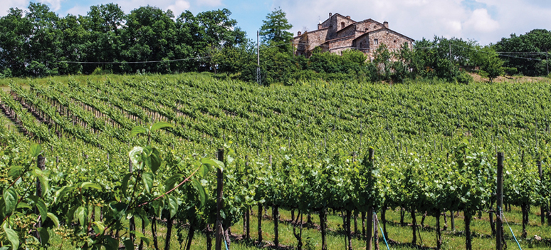 shutterstock 148867094 copy