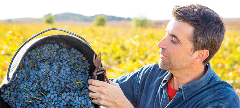 shutterstock 160670567