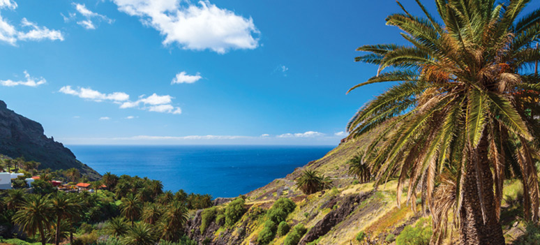 shutterstock 162304904