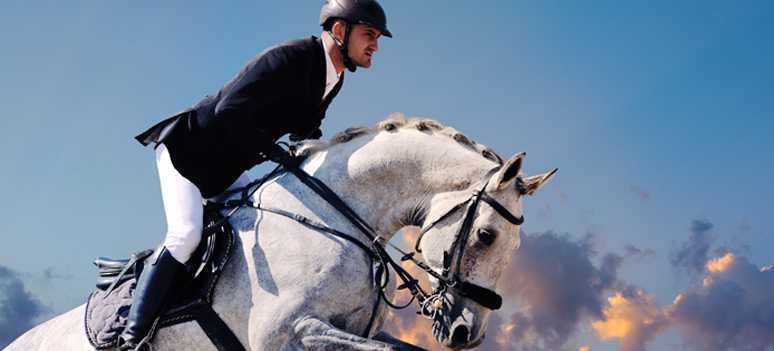 shutterstock 173405423-hest-spring