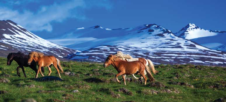 shutterstock 176450426