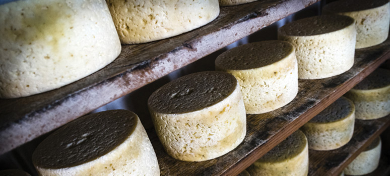 shutterstock 186270506