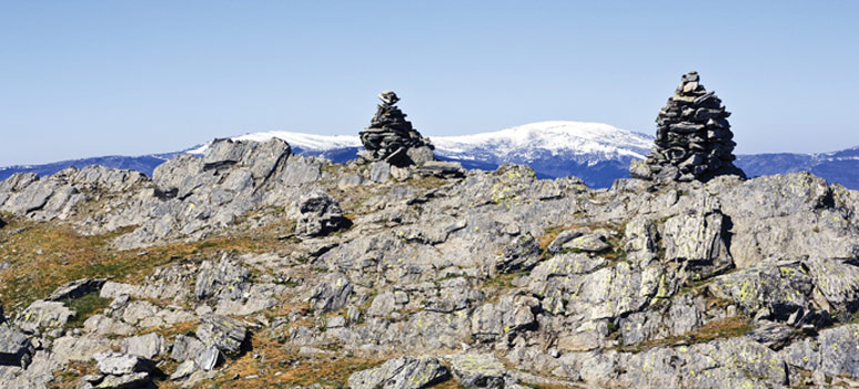 shutterstock 200268137