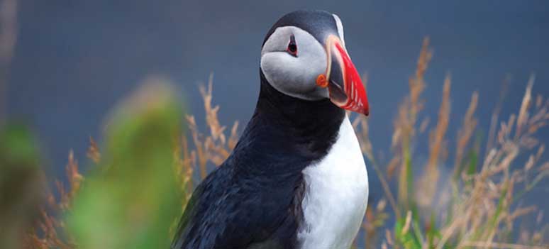 shutterstock 201674948