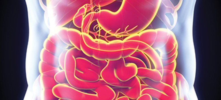 shutterstock 204635974