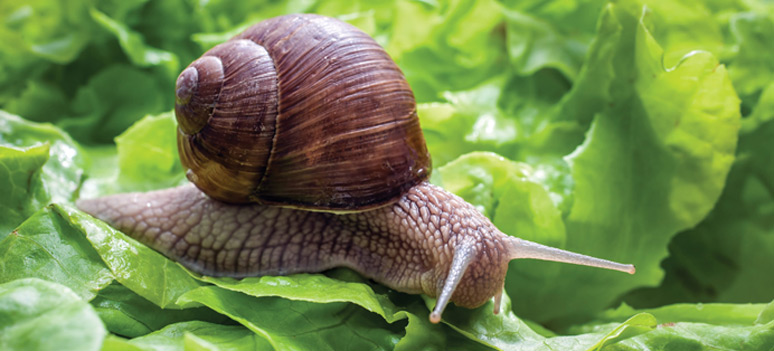 shutterstock 207838021