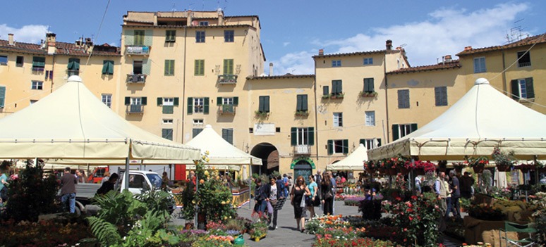 shutterstock 216364516