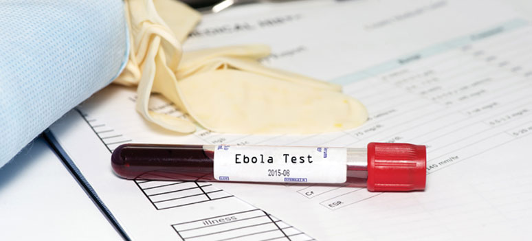 shutterstock 220225159