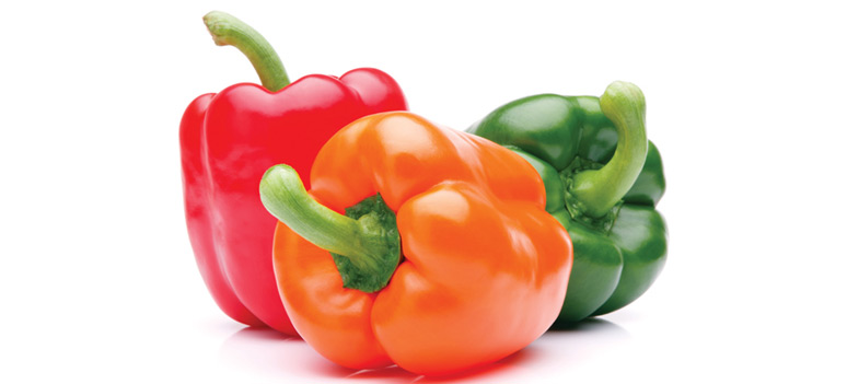 shutterstock 241631041