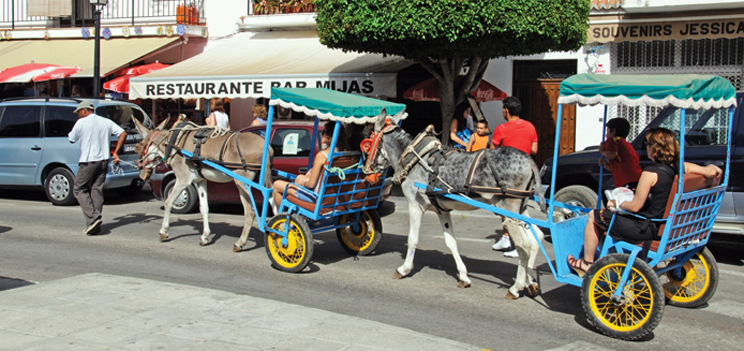 shutterstock 252342634