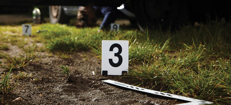 shutterstock 282799484