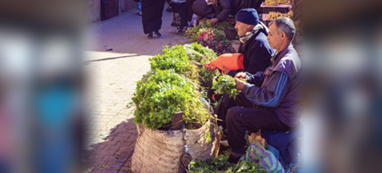 shutterstock 349259852