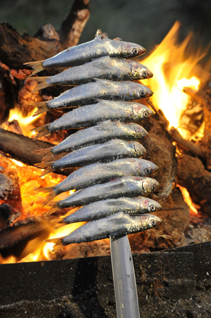 shutterstock 461310103