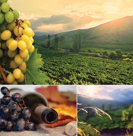 shutterstock 48634963