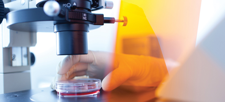 shutterstock 55284442