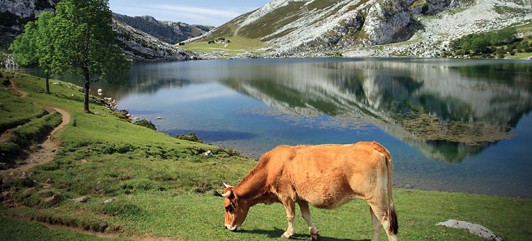 shutterstock 62516827