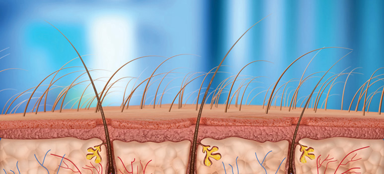 shutterstock 67819831