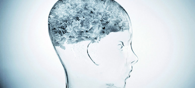 shutterstock 68178979