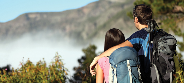 shutterstock 77190994