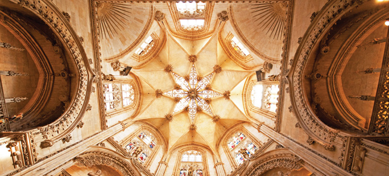 shutterstock 82083538