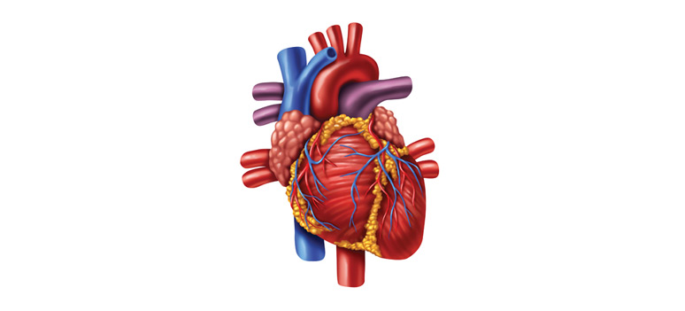 shutterstock 91378037