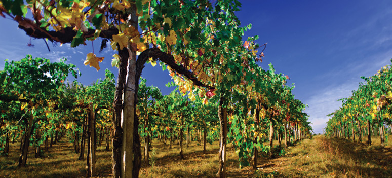 shutterstock 92167024