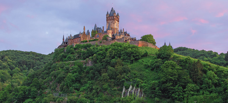 shutterstock 94445500