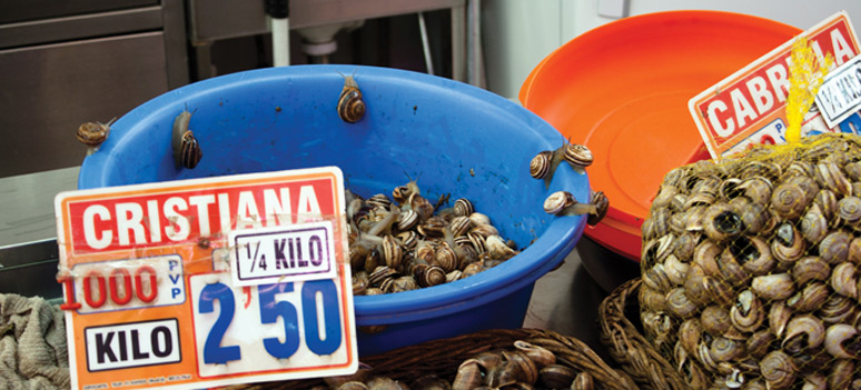 shutterstock 97167659