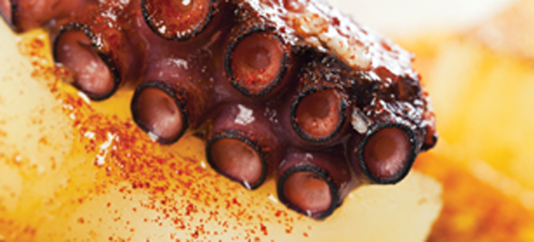 shutterstock 99797555