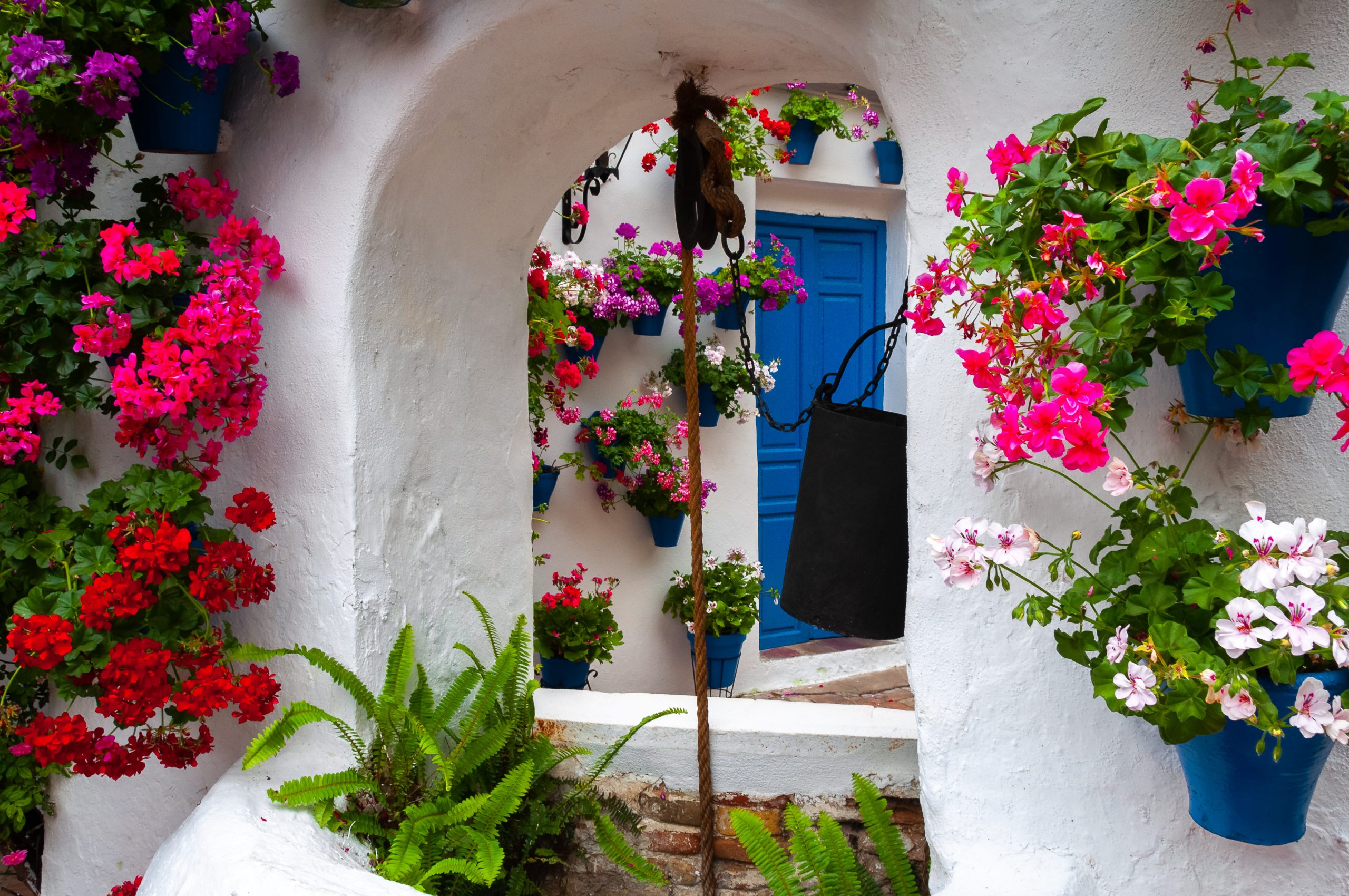 Festival,Of,The,Courtyards,,Cordoba,,Spain