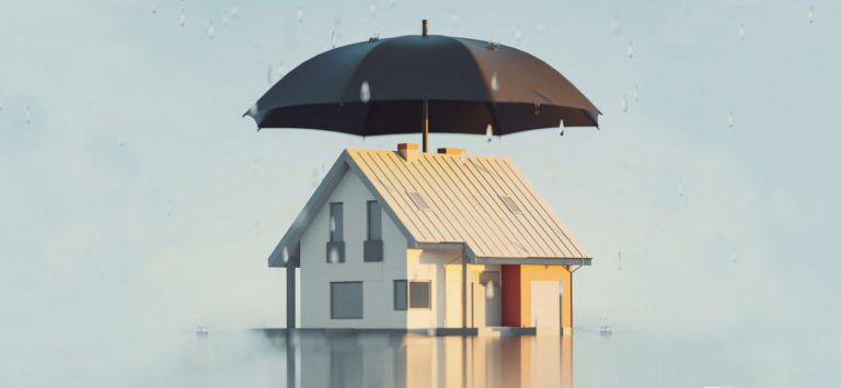 PANEL ACCESO NOTICIA_PROTECT YOUR HOME WINTER[2]