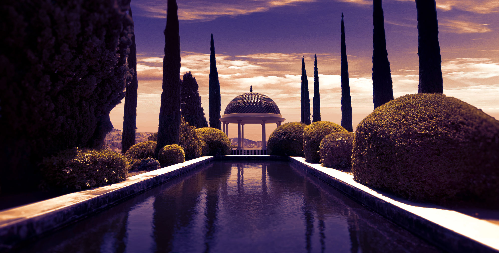 botaniske have La Concepción