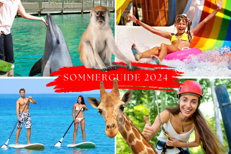 DK + NO SOMMERGUIDE 2024