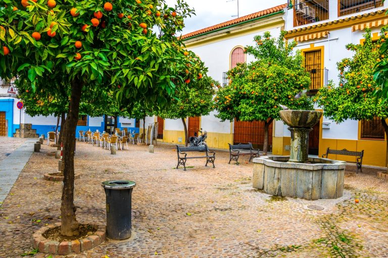 Den andalusiske appelsin