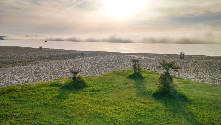 AA-FOTO.Taró.ES.juli-23-enhanced